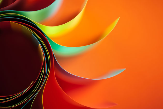 Web Design & Development